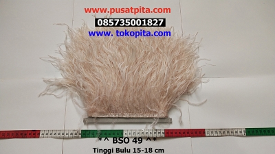 large2 BSO 49